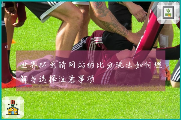 世界杯竞猜网站的比分玩法如何理解与选择注意事项