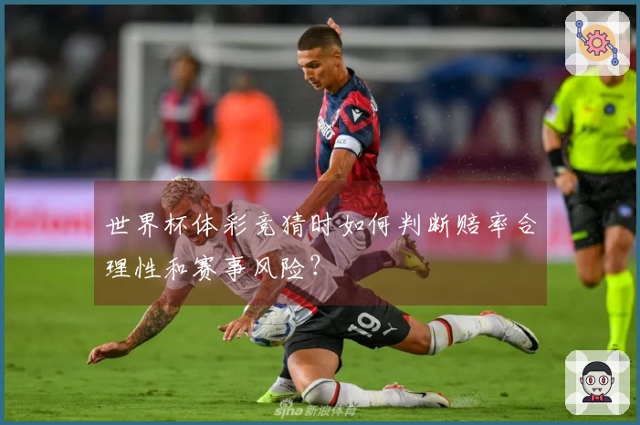 世界杯体彩竞猜时如何判断赔率合理性和赛事风险？