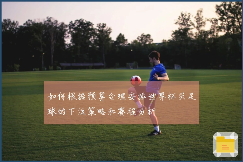 如何根据预算合理安排世界杯买足球的下注策略和赛程分析