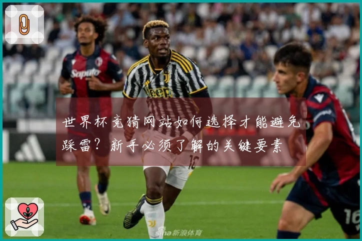 世界杯竞猜网站如何选择才能避免踩雷？新手必须了解的关键要素