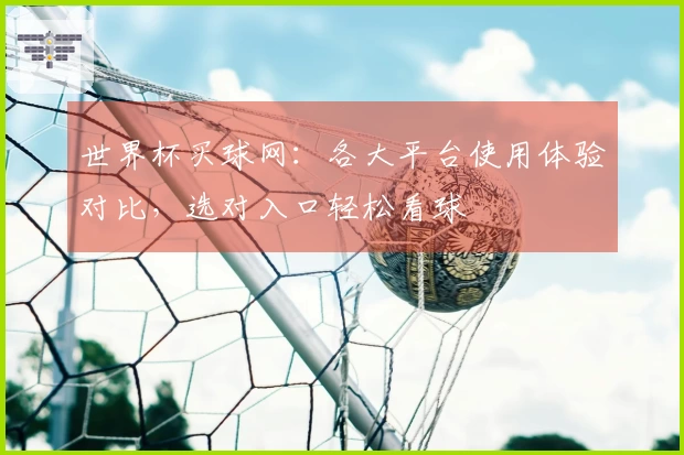 世界杯买球网：各大平台使用体验对比，选对入口轻松看球