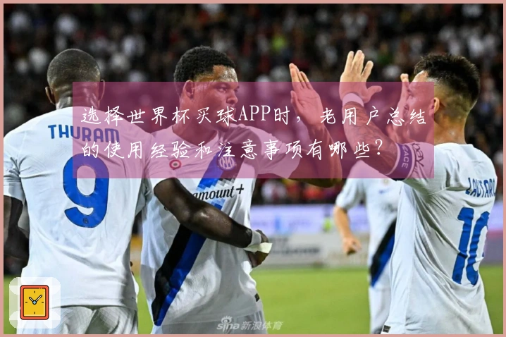 选择世界杯买球APP时，老用户总结的使用经验和注意事项有哪些？