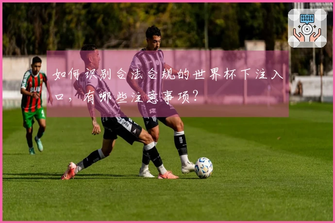 如何识别合法合规的世界杯下注入口，有哪些注意事项？