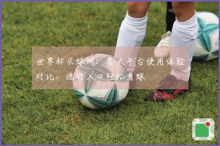 世界杯买球网：各大平台使用体验对比，选对入口轻松看球
