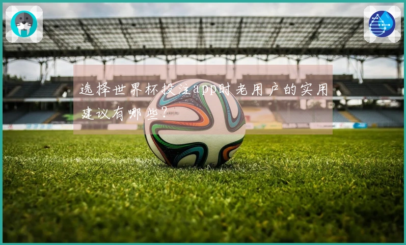 选择世界杯投注app时老用户的实用建议有哪些？