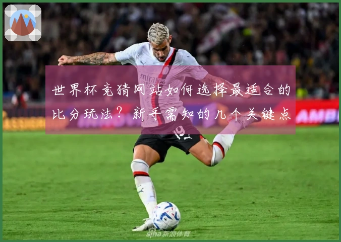 世界杯竞猜网站如何选择最适合的比分玩法？新手需知的几个关键点
