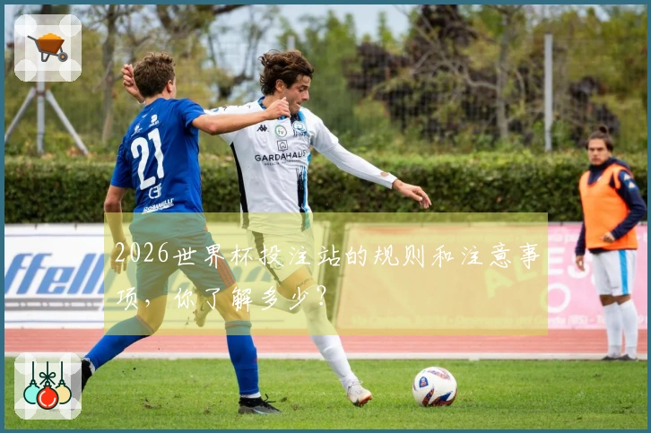 2026世界杯投注站的规则和注意事项，你了解多少？