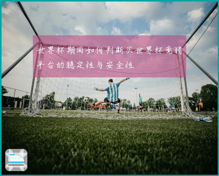 世界杯期间如何判断买世界杯竞猜平台的稳定性与安全性