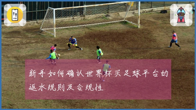 新手如何确认世界杯买足球平台的返水规则及合规性