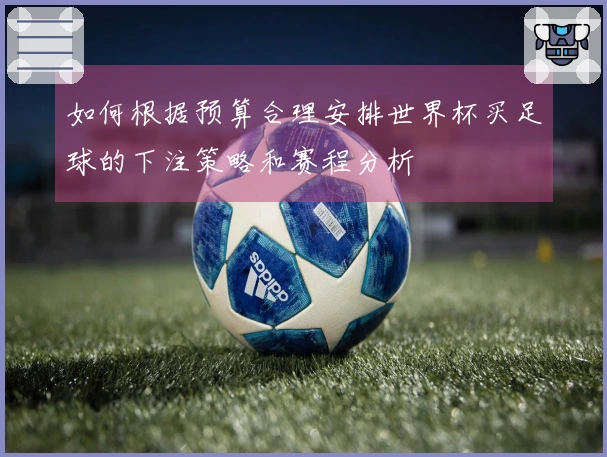如何根据预算合理安排世界杯买足球的下注策略和赛程分析