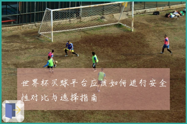 世界杯买球平台应该如何进行安全性对比与选择指南