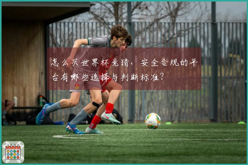 怎么买世界杯竞猜，安全合规的平台有哪些选择与判断标准？