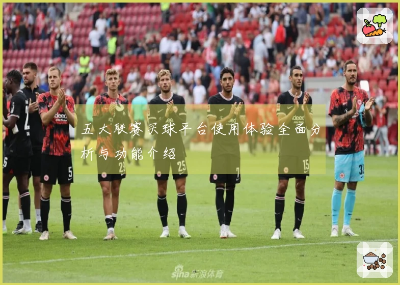 五大联赛买球平台使用体验全面分析与功能介绍