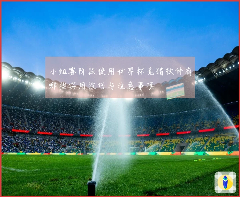 小组赛阶段使用世界杯竞猜软件有哪些实用技巧与注意事项