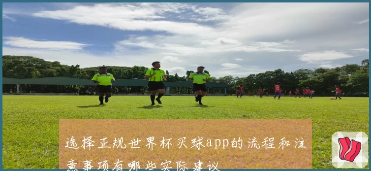 选择正规世界杯买球app的流程和注意事项有哪些实际建议
