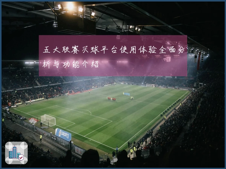 五大联赛买球平台使用体验全面分析与功能介绍