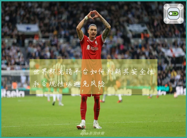 世界杯竞猜平台如何判断其安全性和合规性以避免风险