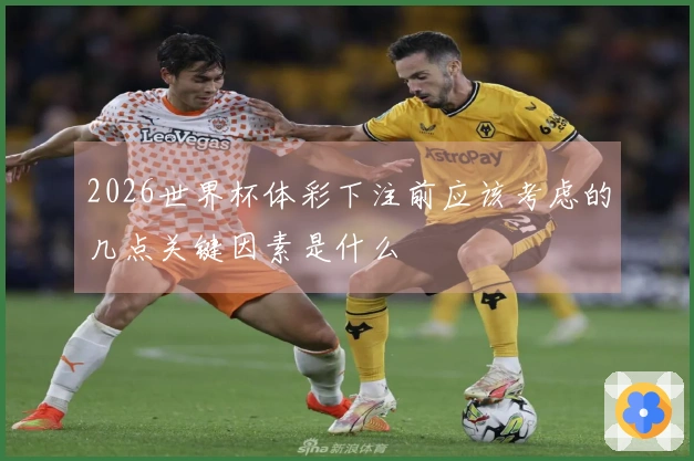 2026世界杯体彩下注前应该考虑的几点关键因素是什么