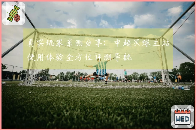 真实玩家亲测分享：中超买球主站使用体验全方位评测导航