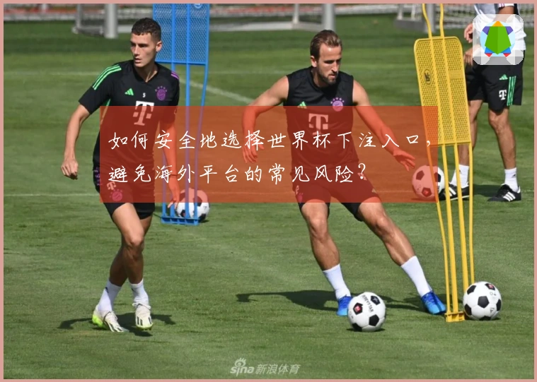 如何安全地选择世界杯下注入口，避免海外平台的常见风险？