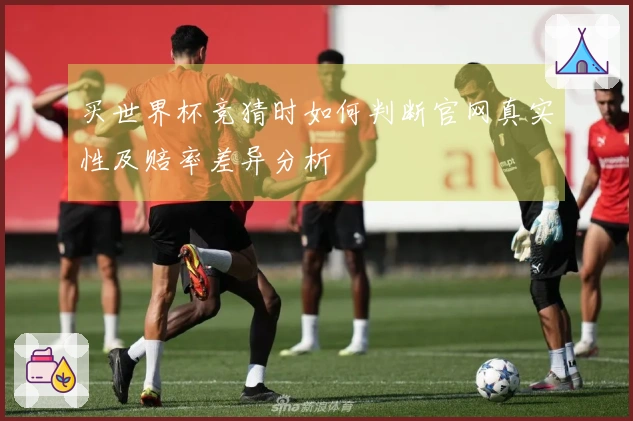 买世界杯竞猜时如何判断官网真实性及赔率差异分析